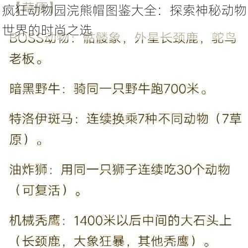疯狂动物园浣熊帽图鉴大全:探索神秘动物世界的时尚之选