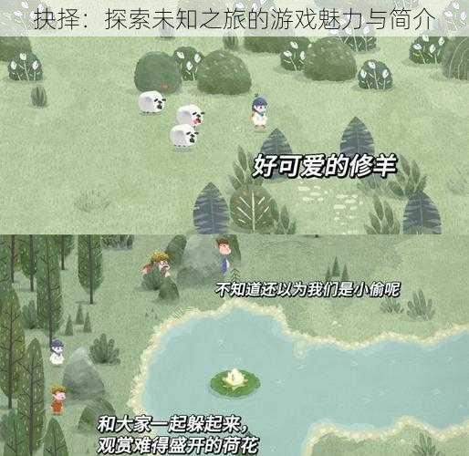 抉择:探索未知之旅的游戏魅力与简介