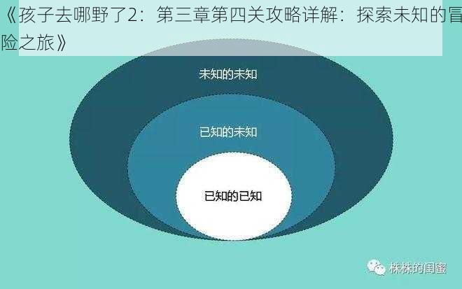 《孩子去哪野了2:第三章第四关攻略详解:探索未知的冒险之旅》