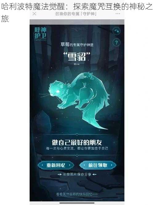 哈利波特魔法觉醒:探索魔咒互换的神秘之旅