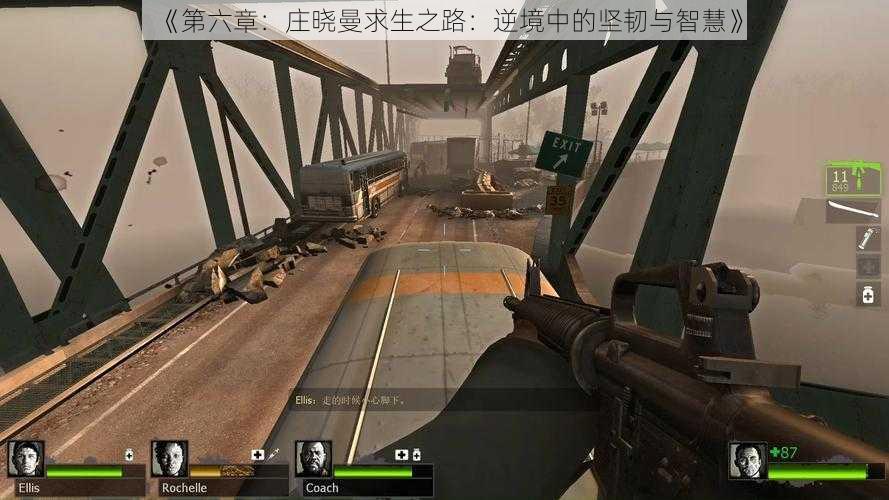 《第六章:庄晓曼求生之路:逆境中的坚韧与智慧》