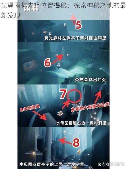 光遇雨林先祖位置揭秘:探索神秘之地的最新发现