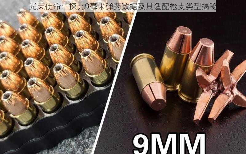 光荣使命:探究9毫米弹药数据及其适配枪支类型揭秘