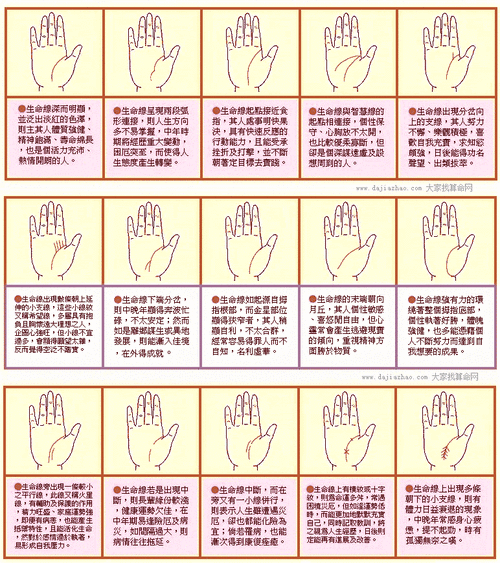 深度解析:生命线静夜章节全攻略大全及生命线3详解指南