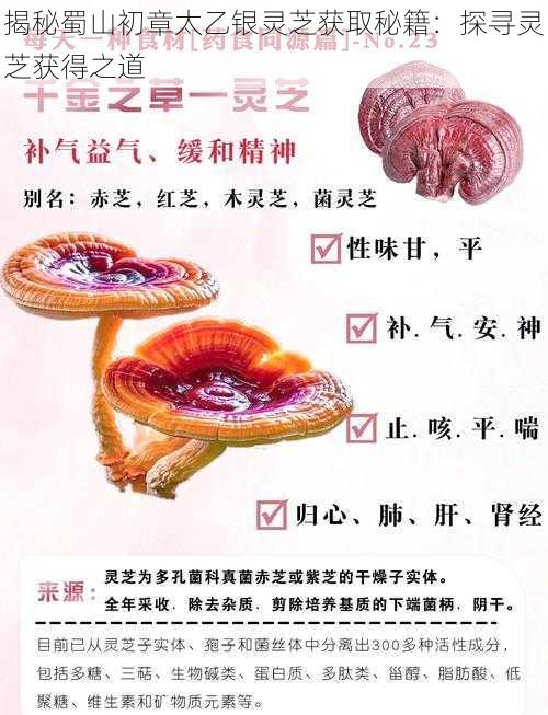 揭秘蜀山初章太乙银灵芝获取秘籍:探寻灵芝获得之道