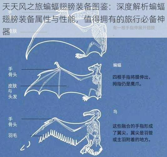 天天风之旅蝙蝠翅膀装备图鉴:深度解析蝙蝠翅膀装备属性与性能,值得拥有的旅行必备神器