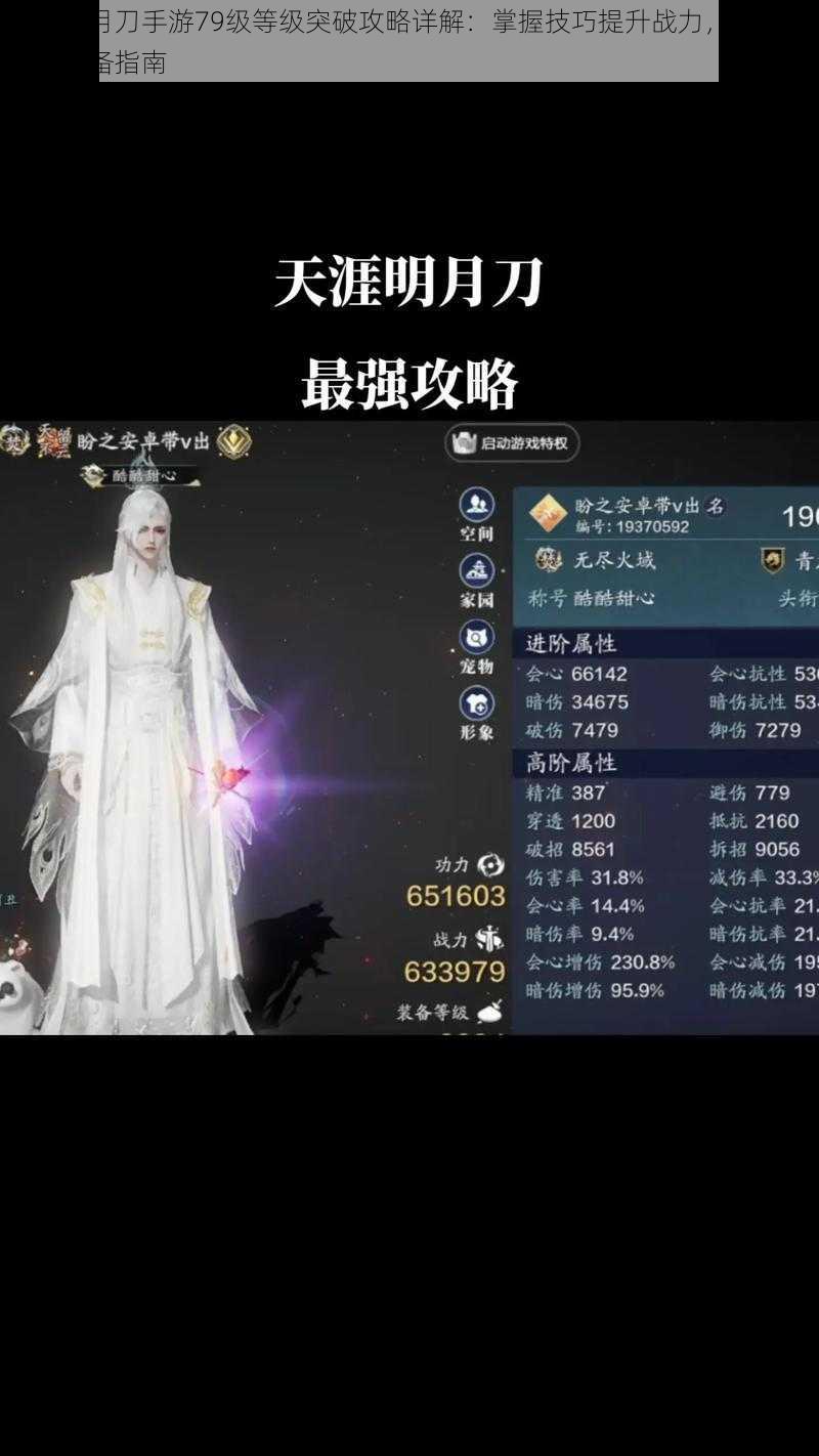 天涯明月刀手游79级等级突破攻略详解:掌握技巧提升战力,突破新境界必备指南