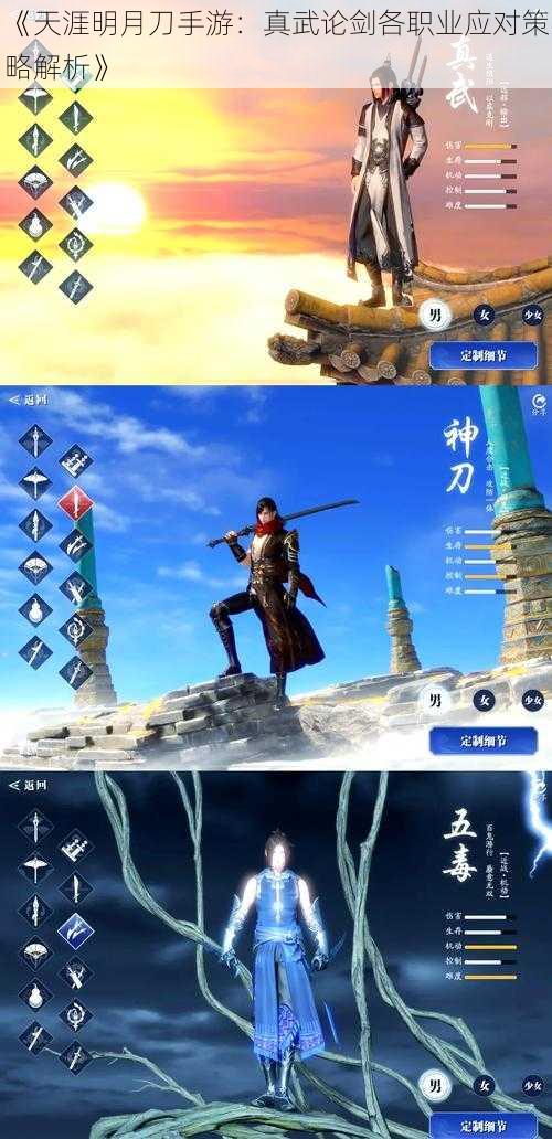 《天涯明月刀手游:真武论剑各职业应对策略解析》