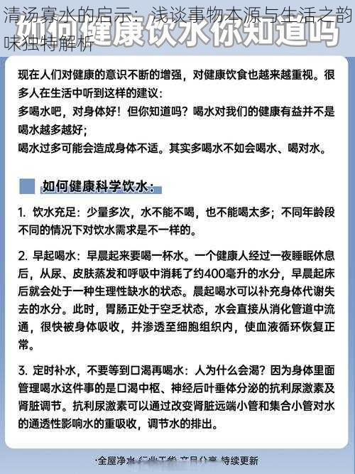 清汤寡水的启示:浅谈事物本源与生活之韵味独特解析