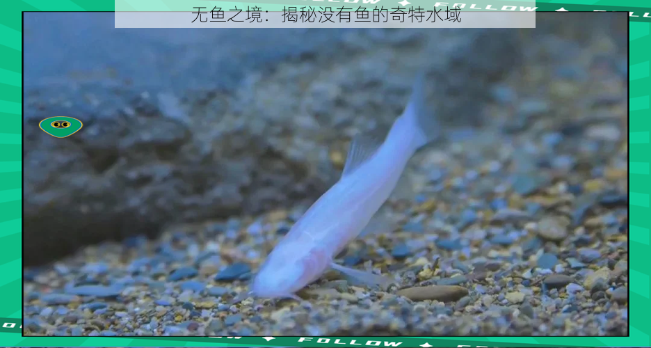 无鱼之境:揭秘没有鱼的奇特水域
