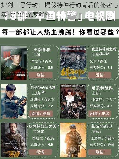 护剑二号行动:揭秘特种行动背后的秘密与实战价值深度解析