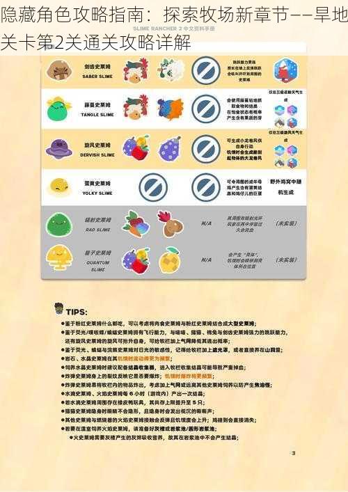 隐藏角色攻略指南:探索牧场新章节——旱地关卡第2关通关攻略详解