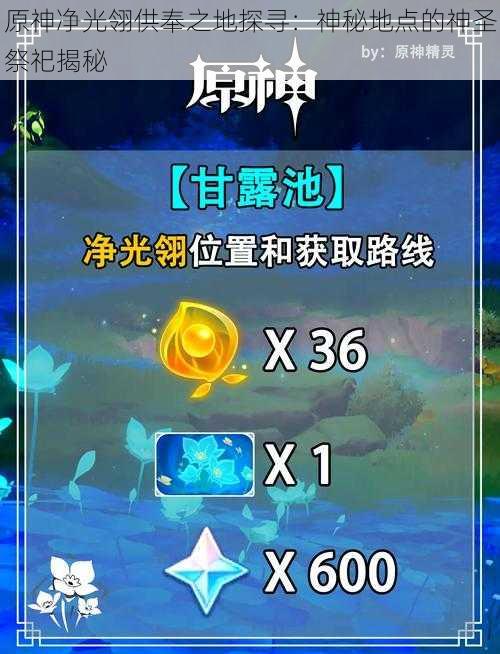 原神净光翎供奉之地探寻:神秘地点的神圣祭祀揭秘