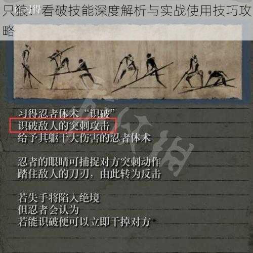 只狼:看破技能深度解析与实战使用技巧攻略