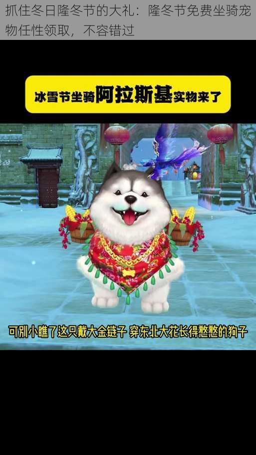 抓住冬日隆冬节的大礼:隆冬节免费坐骑宠物任性领取,不容错过