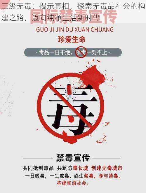 三级无毒:揭示真相,探索无毒品社会的构建之路,迈向纯净生活新时代